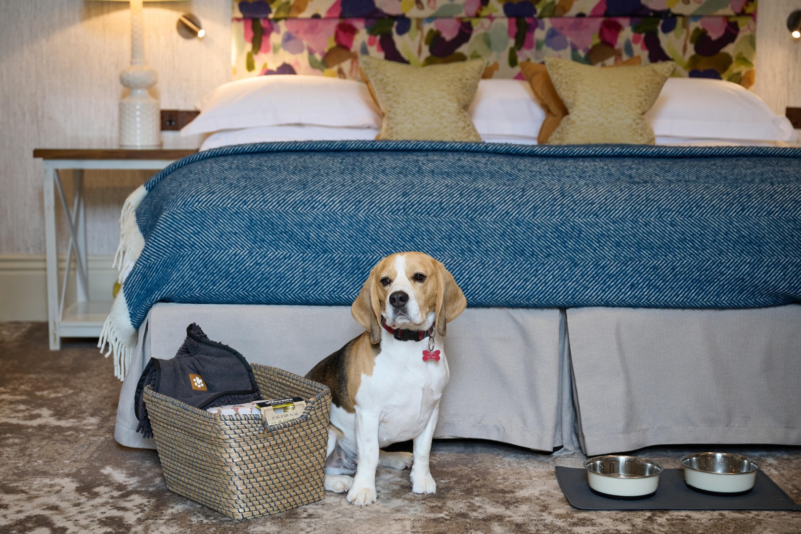 Garden Suite with Hot Tub (dog friendly)